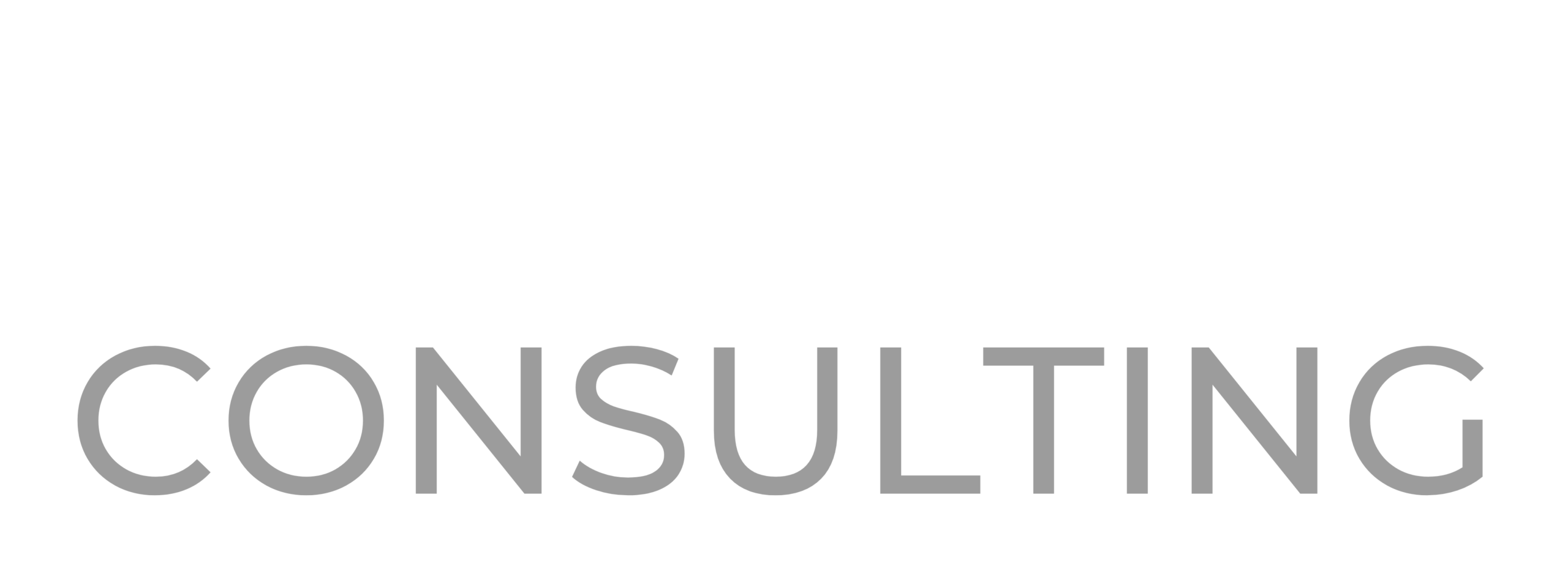 Info Gain Consulting